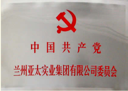 兰州必一运动实业集团有限公司建设党委会专题