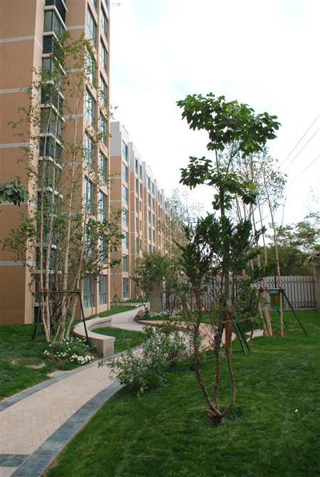 必一运动嘉园二期局部景观雏形鉴赏（亲景实拍）